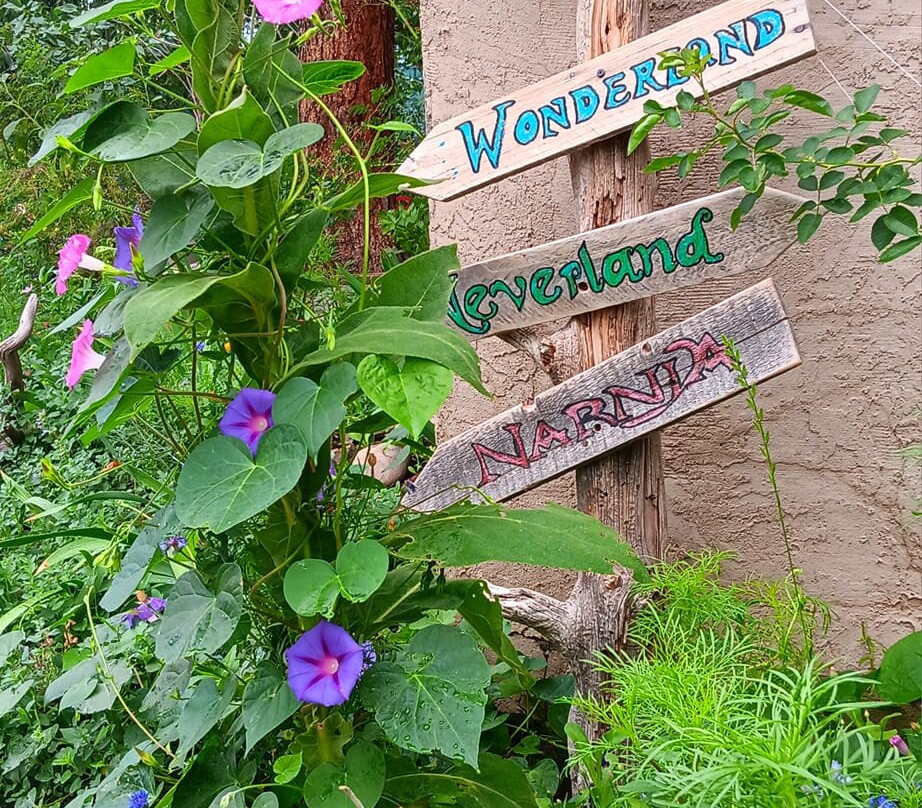 White Rabbit Books and Curiosities-杜兰戈必去景点