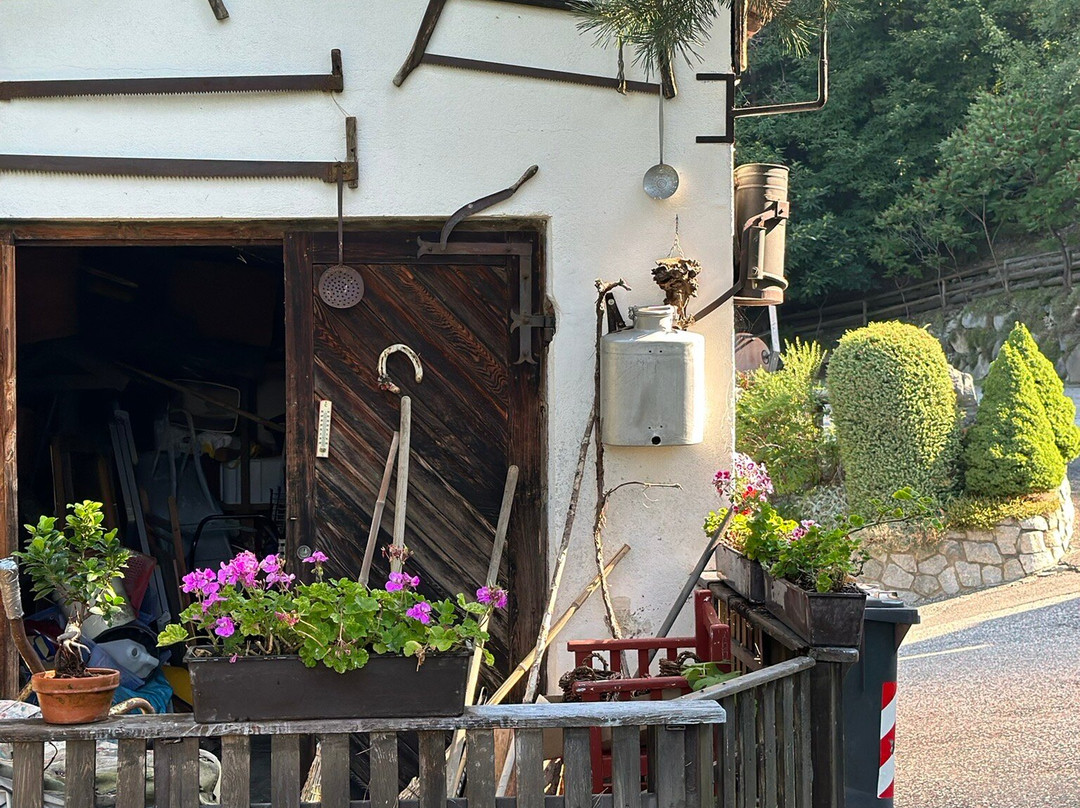 Waldheim Belvedere Hotel主图