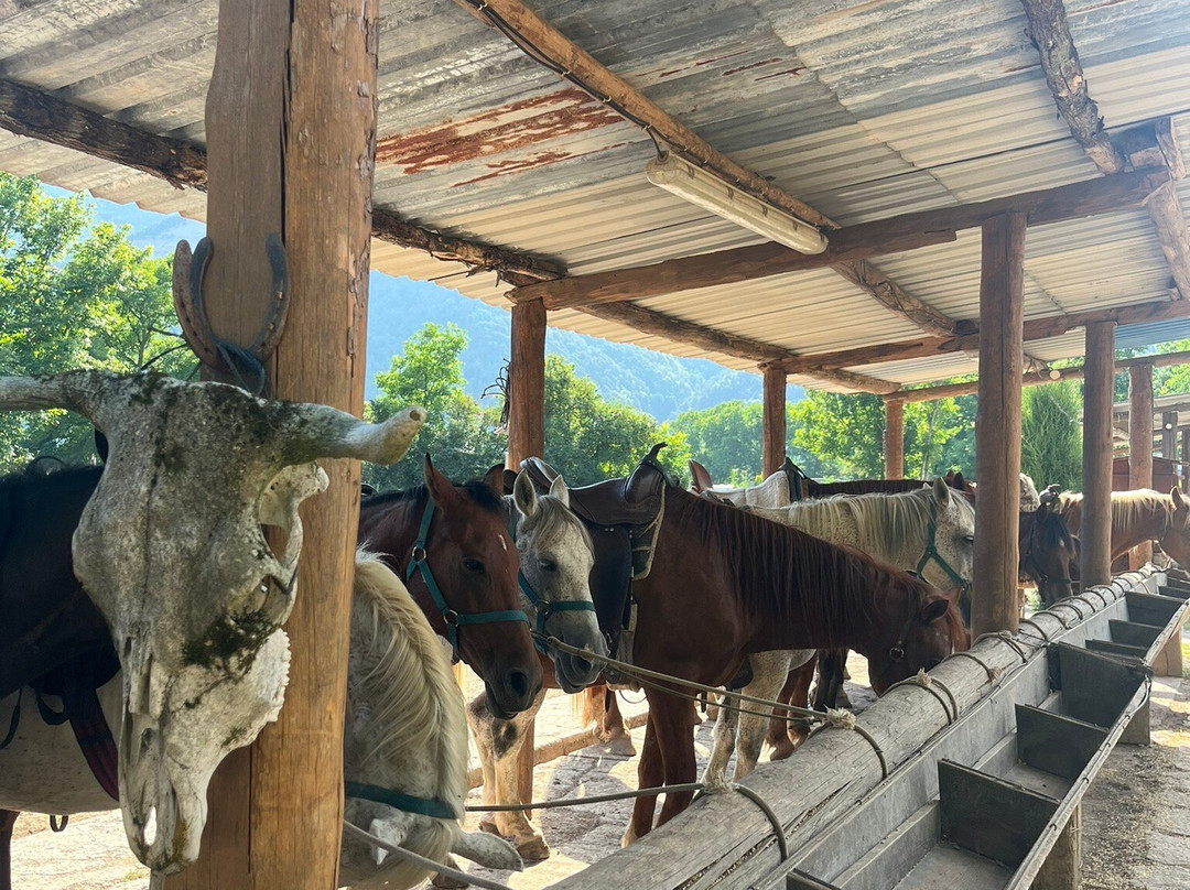 Caballos Sarvise景点图片