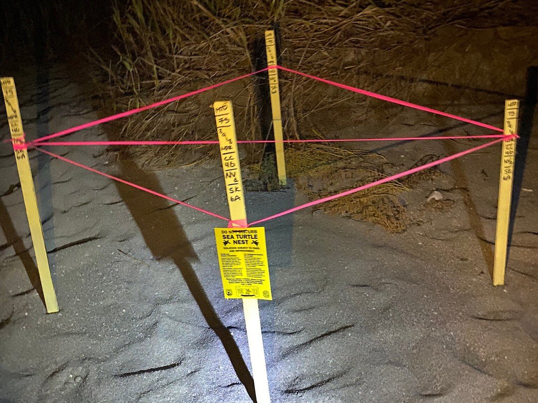 Turtle Beach-西耶斯塔岛必去景点