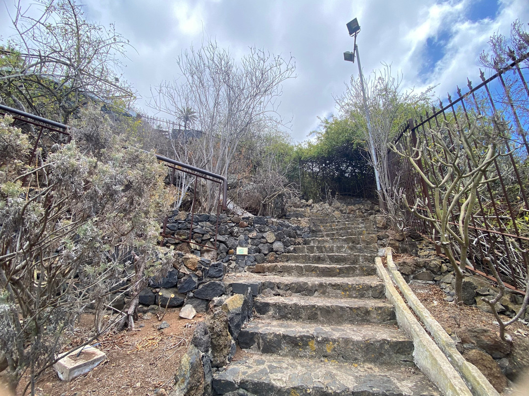 Parque Mirador Los Lavaderos-El Sauzal必去景点