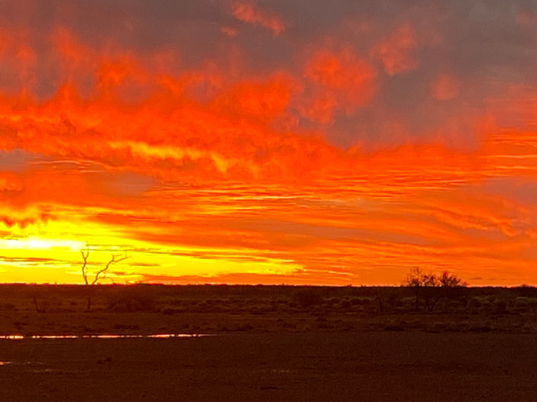Outback Aussie Tours-Longreach必去景点