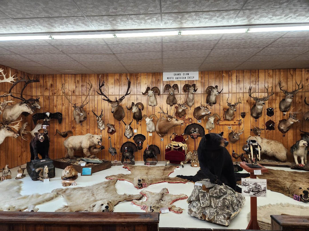 Jeff Matthews Memorial Museum景点图片