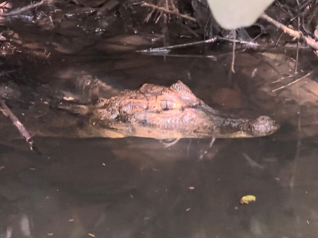 DON CHICO TOURS-托图杰多必去景点