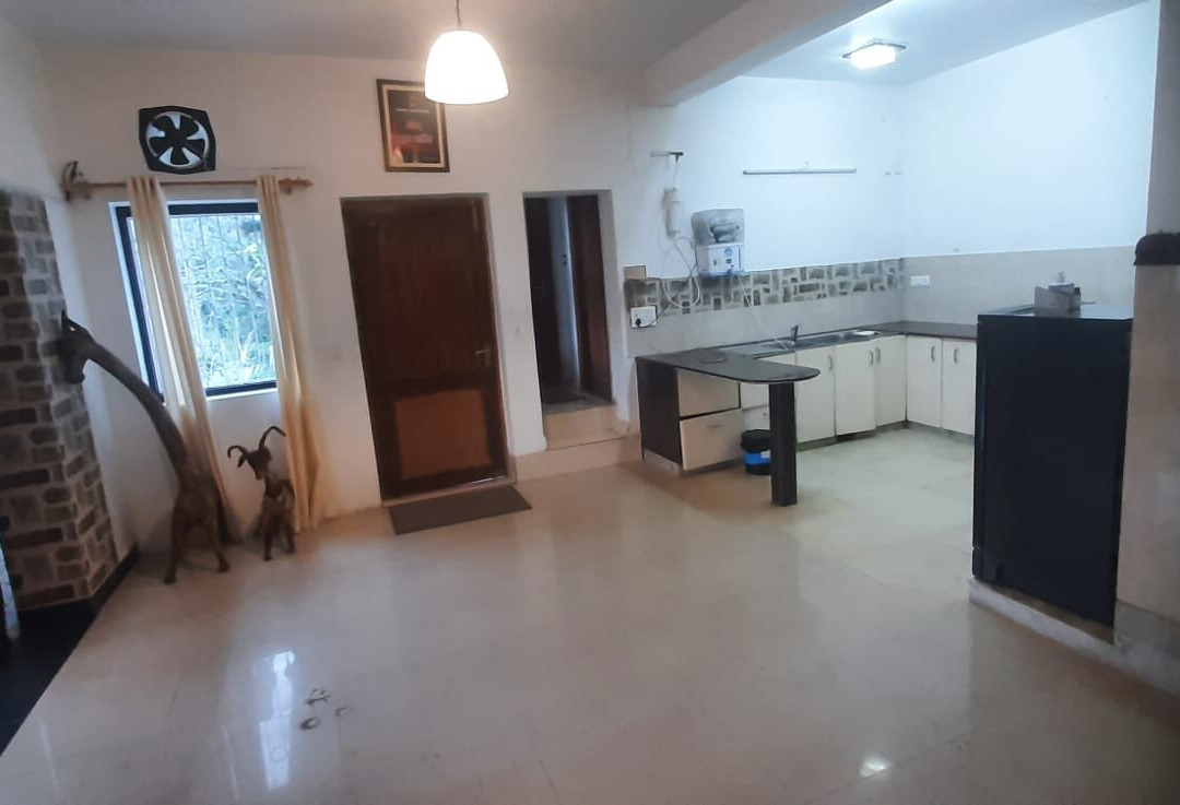 Experto The Greens主图