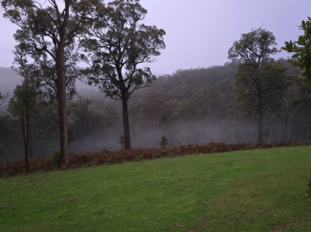 斯卡勒特森林度假屋主图