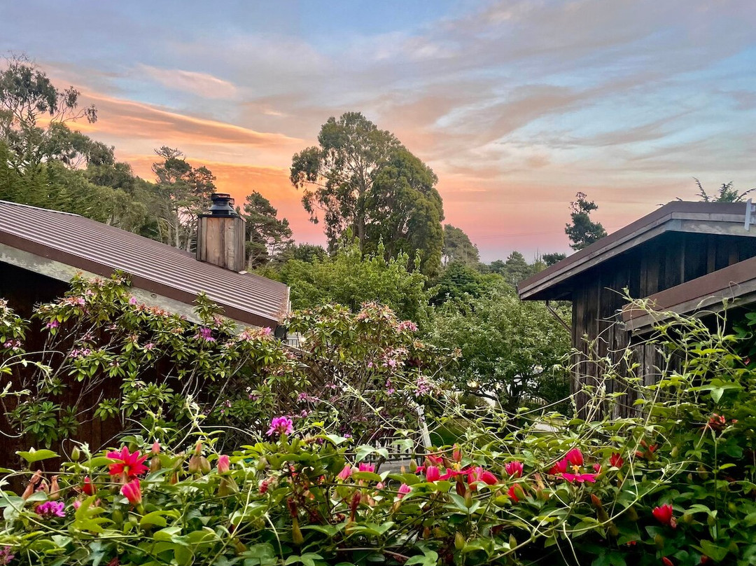 Rendezvous Mendocino主图