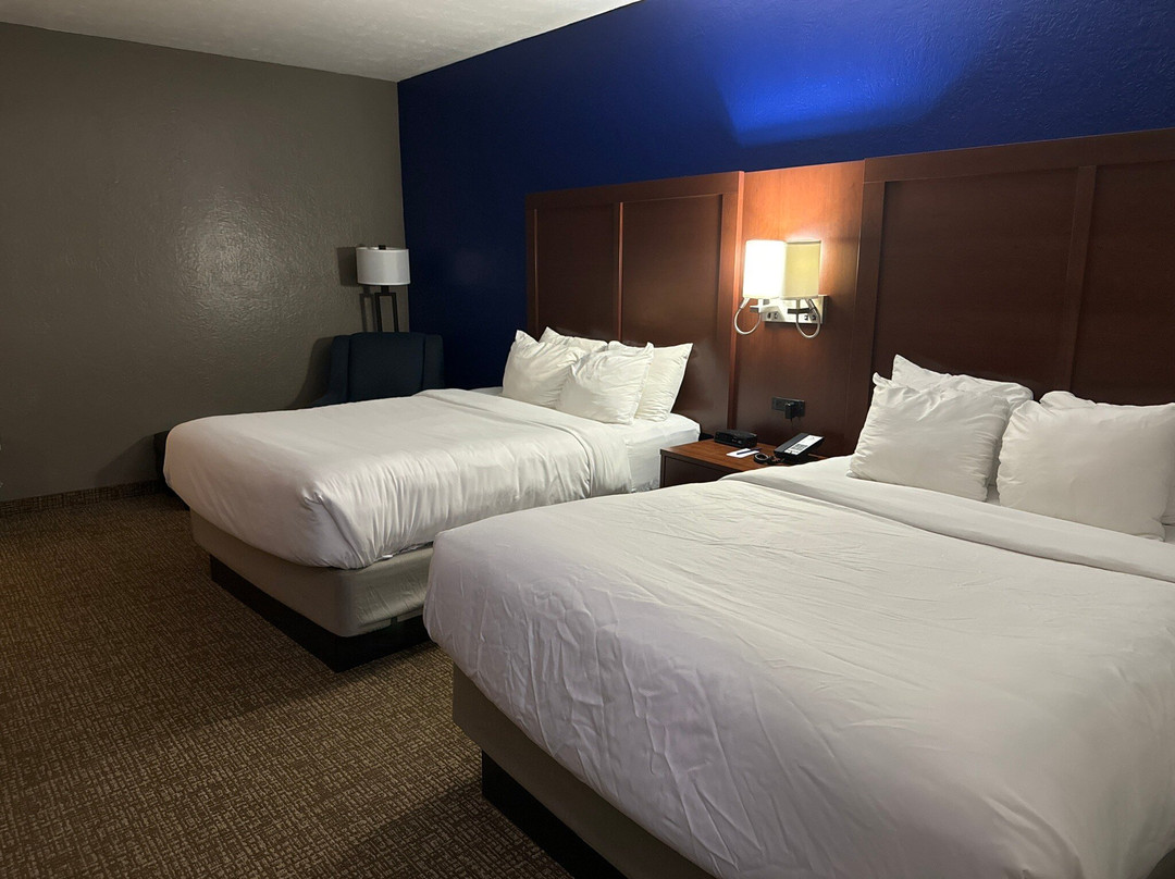 Comfort Inn & Suites主图