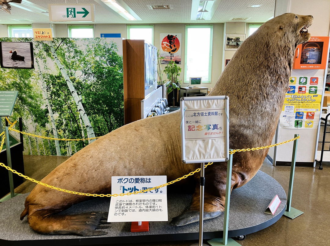 Nemuro City Hoppo Ryodo Museum-根室市必去景点