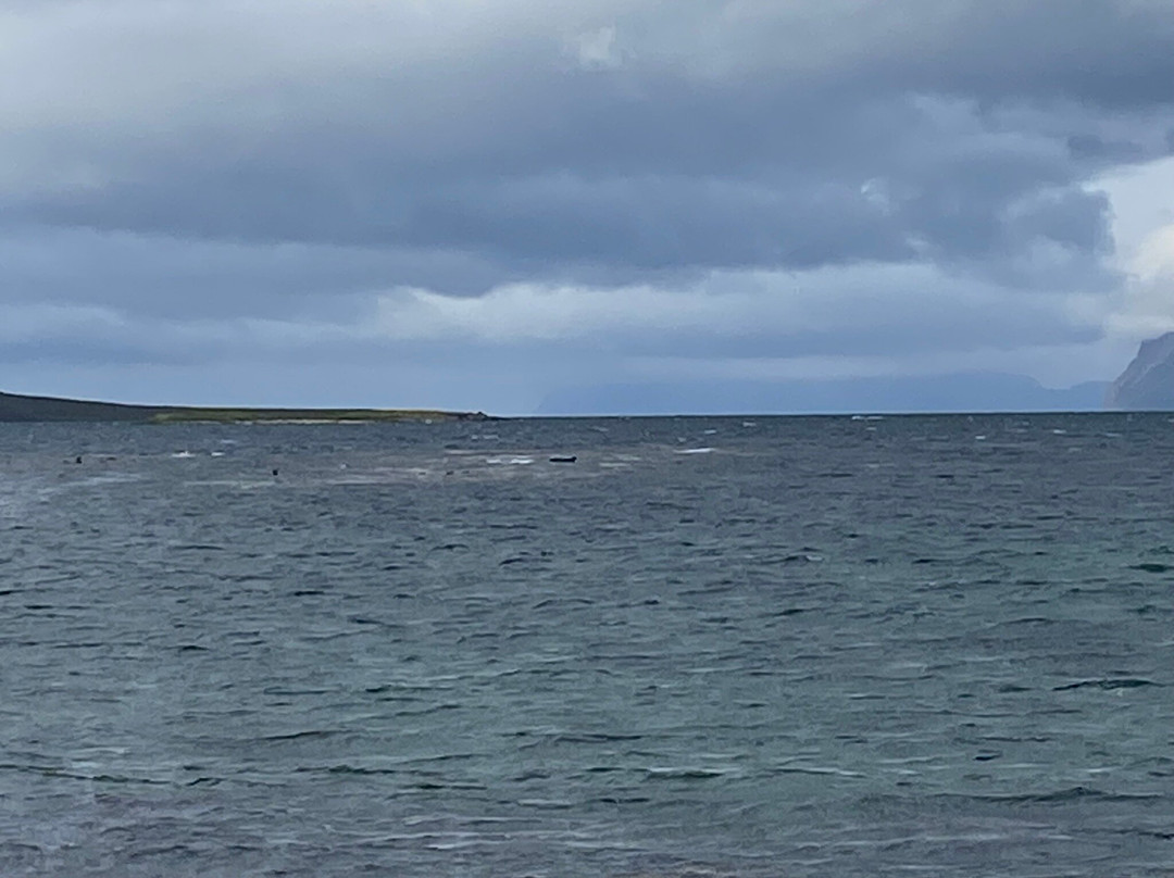 Seal Lookout-伊萨菲厄泽必去景点