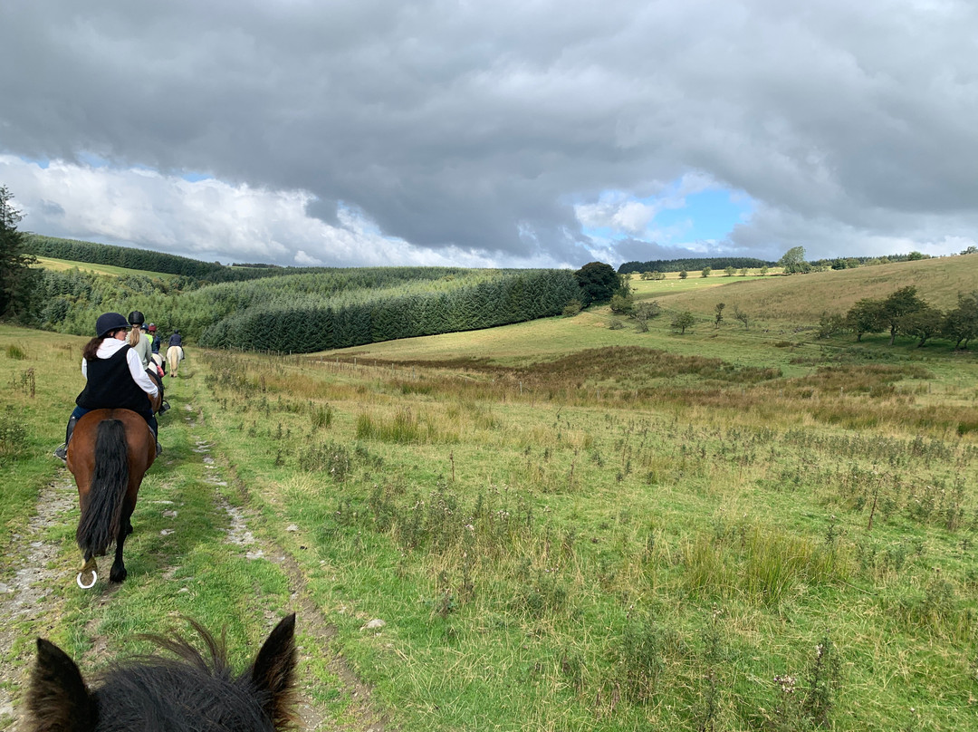 Springhill Farm Riding Stables景点图片