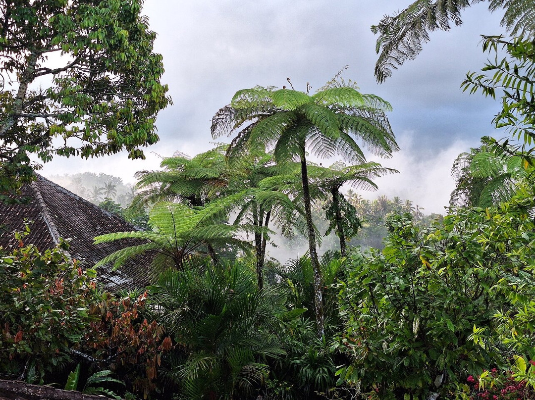 巴厘山间休养所主图