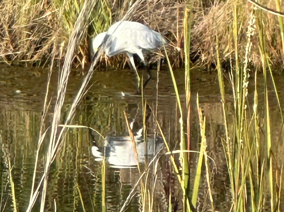 Gordons Pond-里霍博斯比奇必去景点