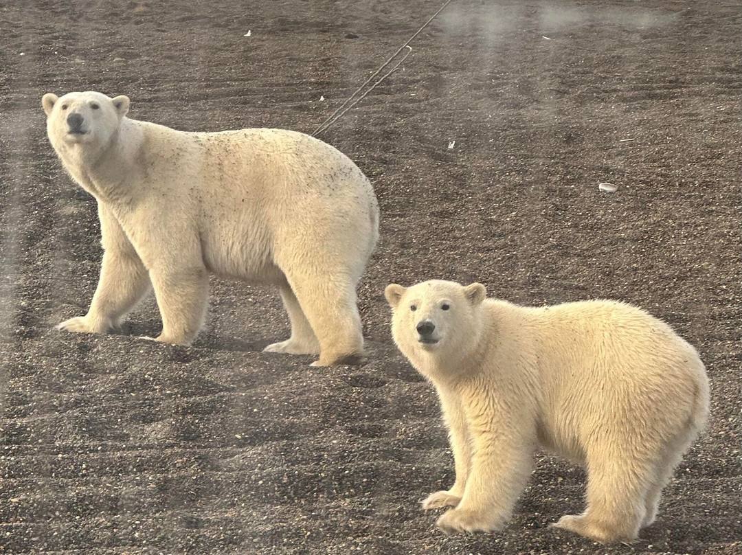 Latitude71 B and B主图