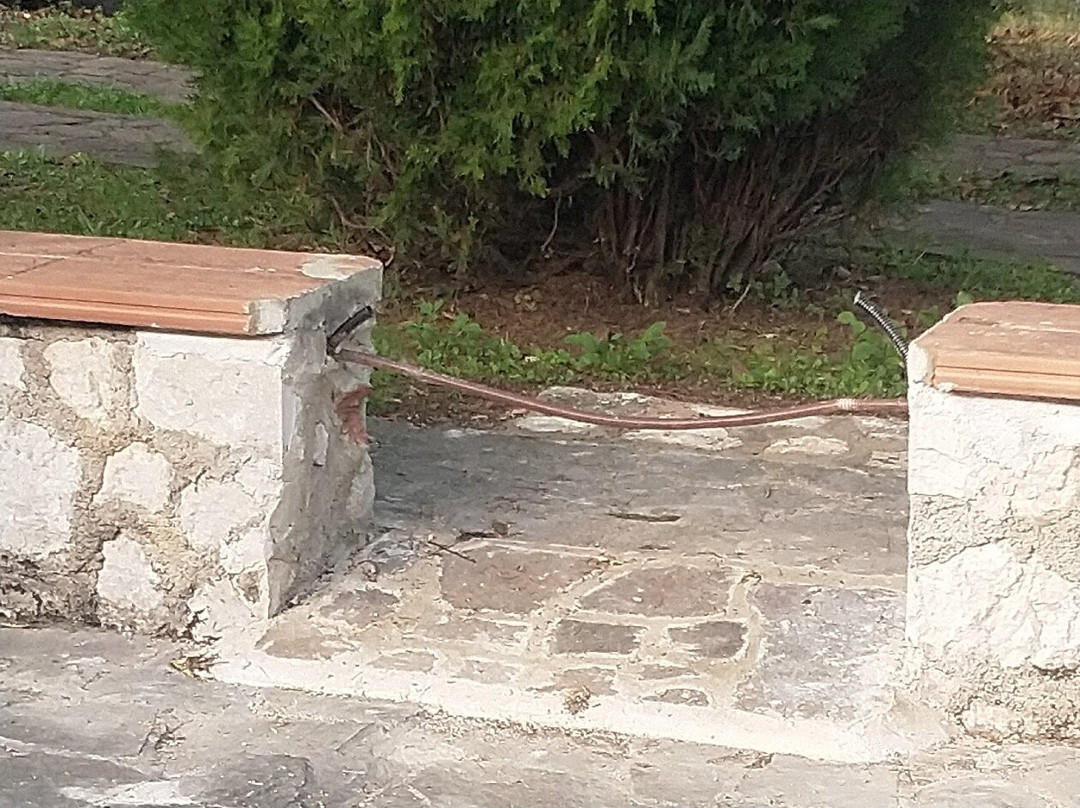 Agriturismo Tre Santi主图