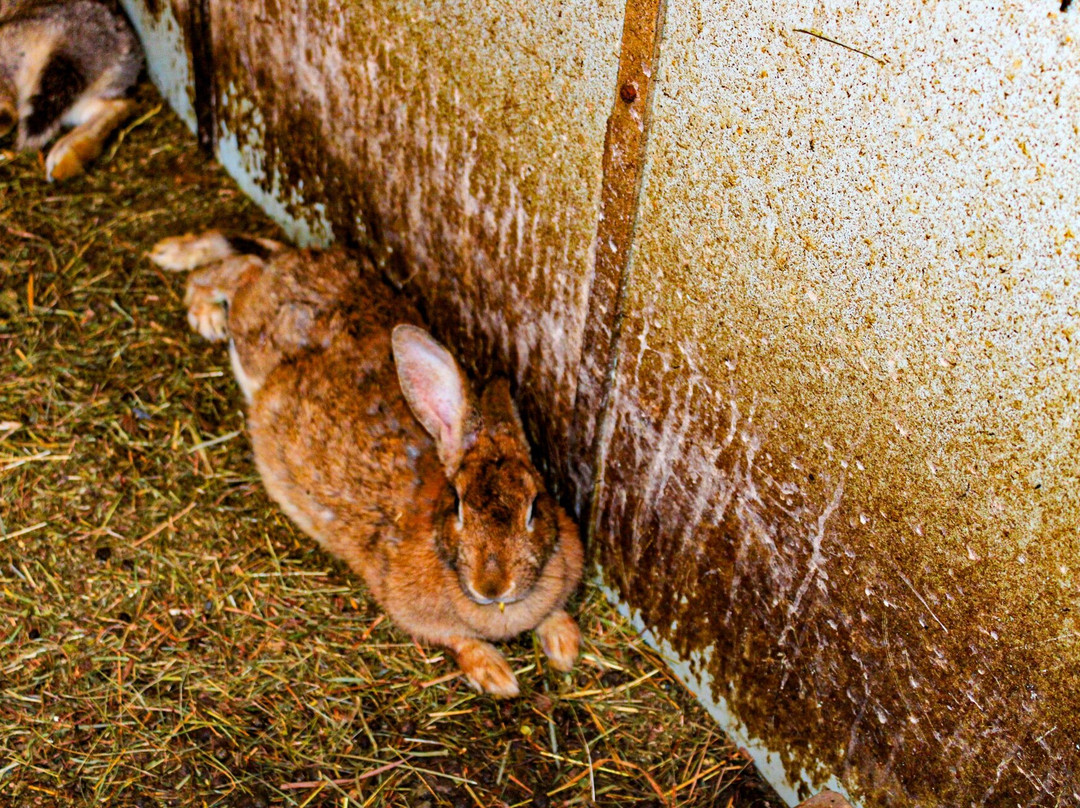 Passo Cereda-Sagron Mis必去景点