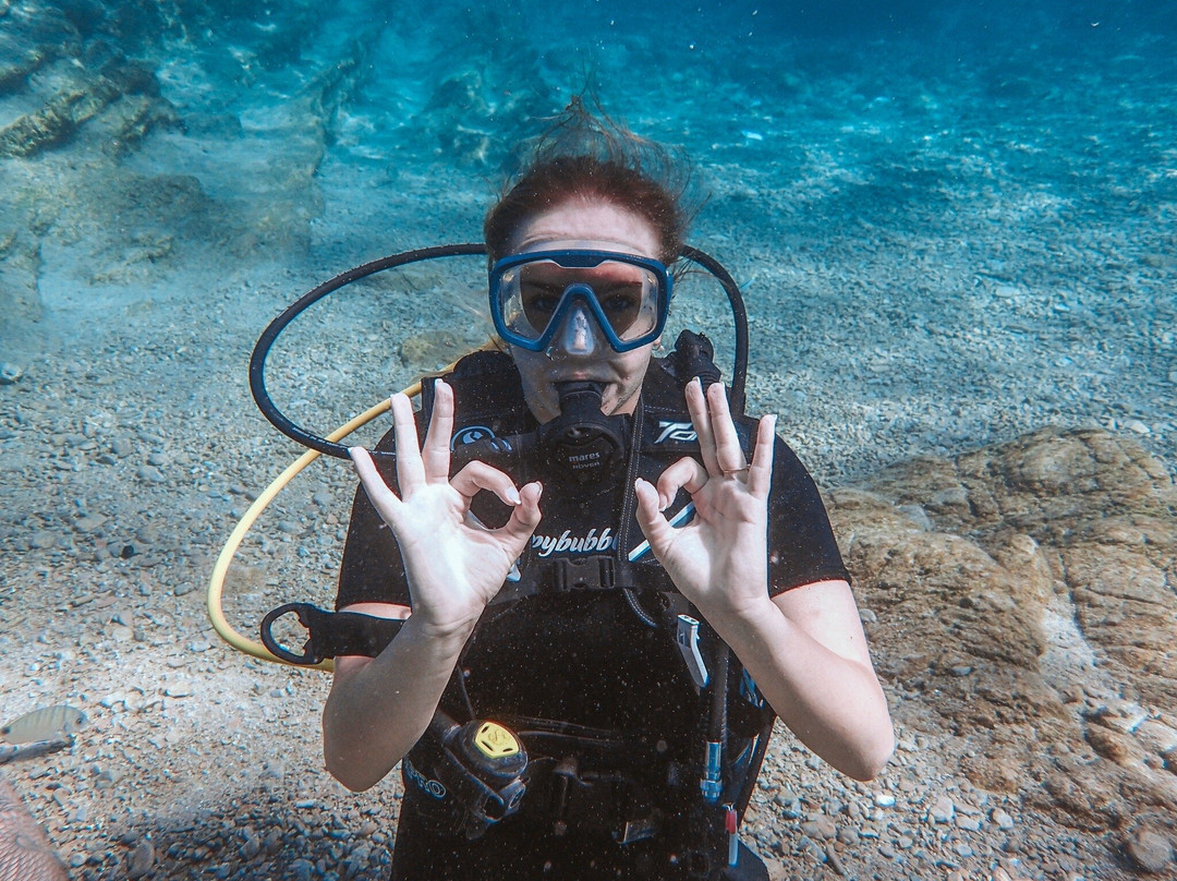 Happy Bubbles Diving Center景点图片