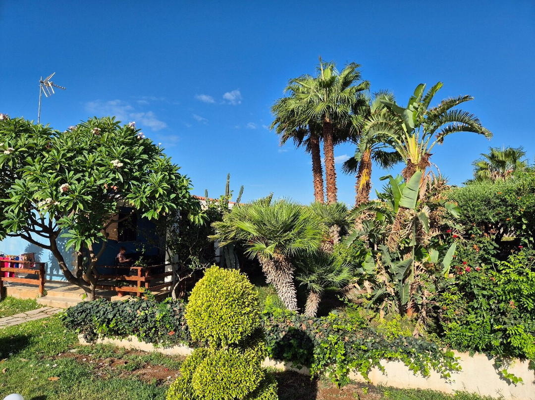 Villa Francesco主图