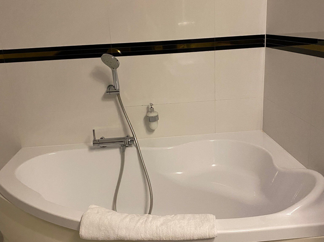 Hotel Aleksandria主图