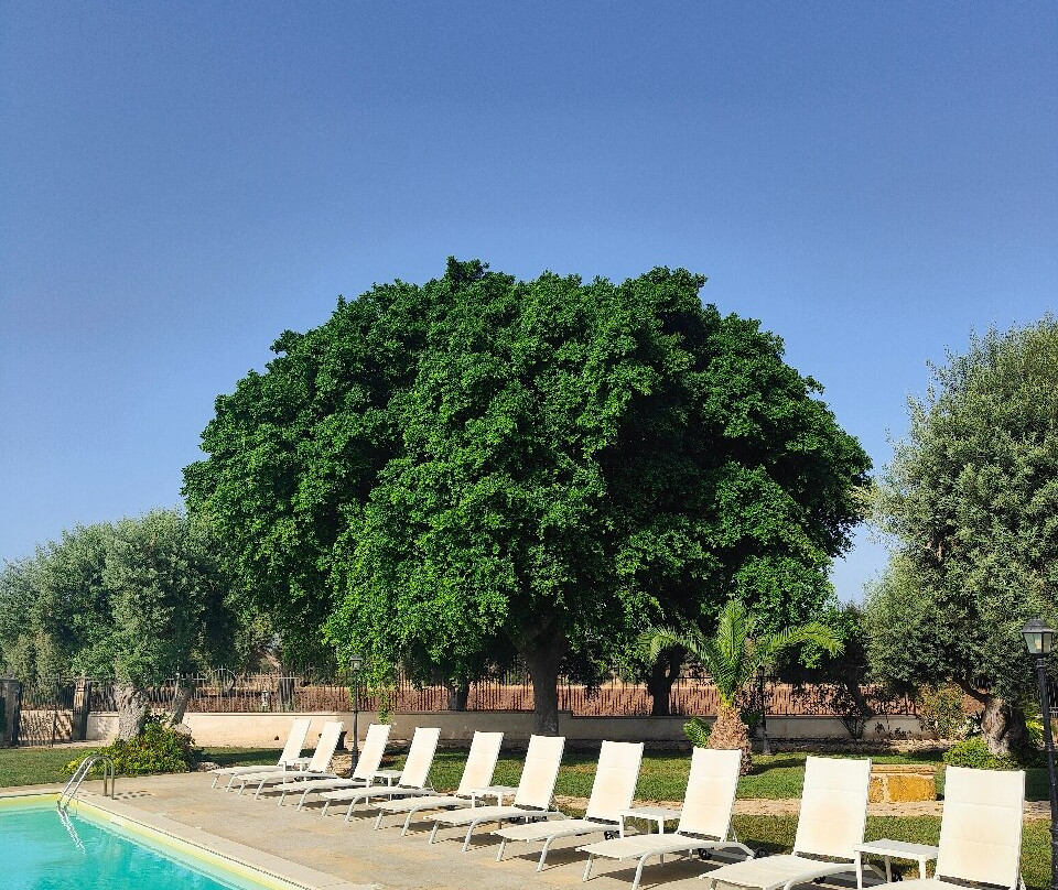 Masseria Testaferrata主图