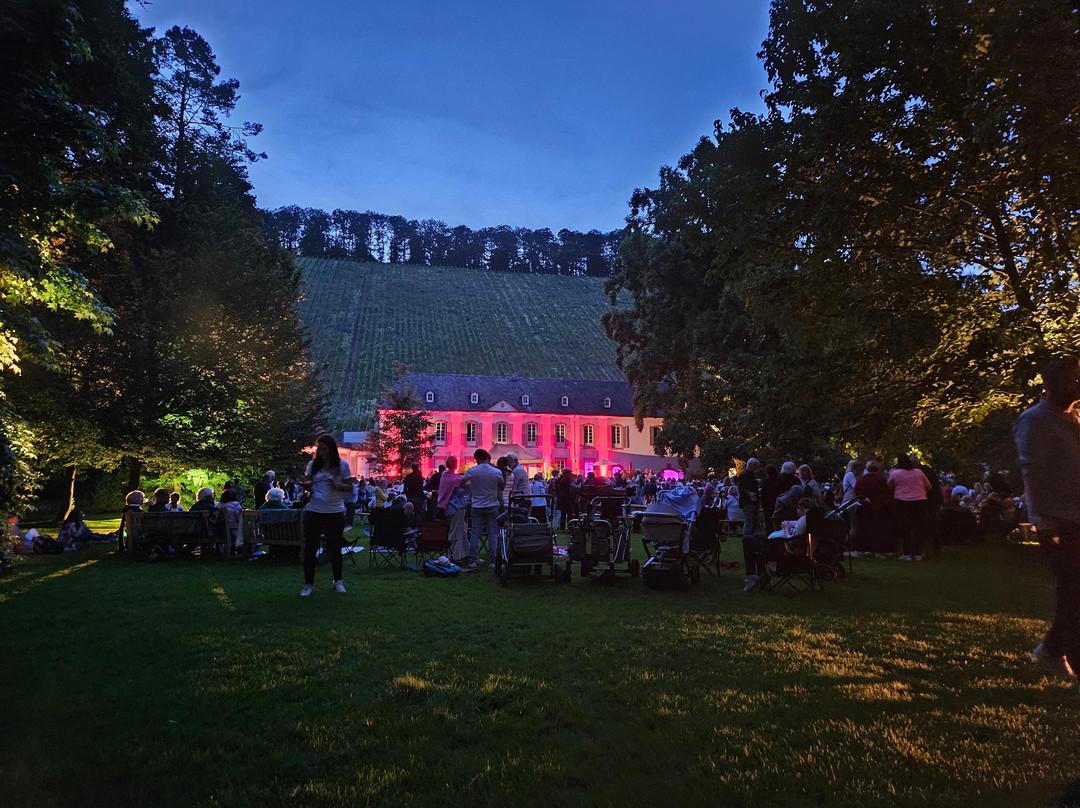 Weingut von Othegraven-Kanzem必去景点