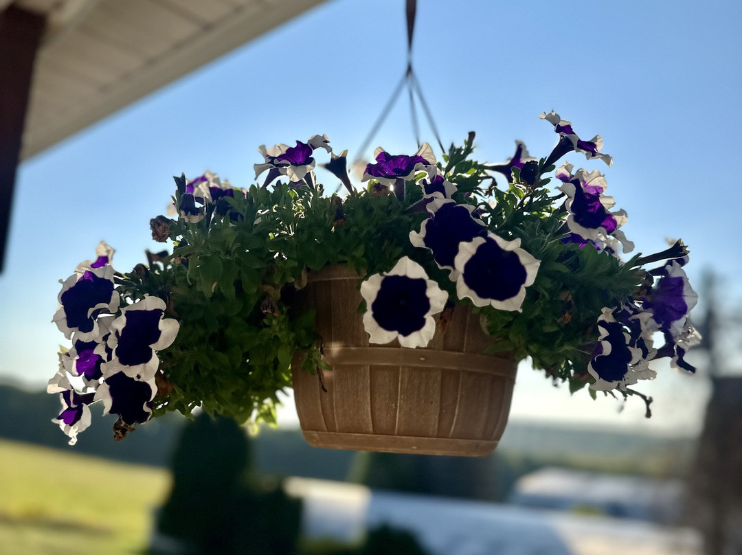 Haley Farm Inn and Retreat Center主图