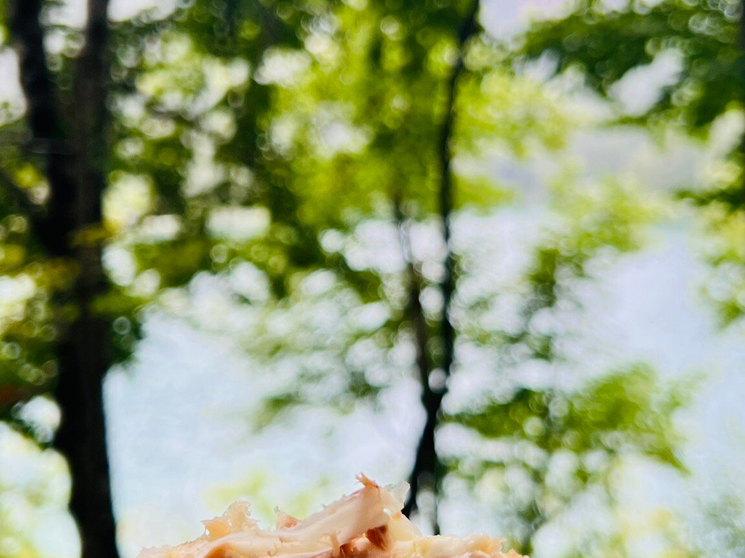 Picnic Orso Bruno