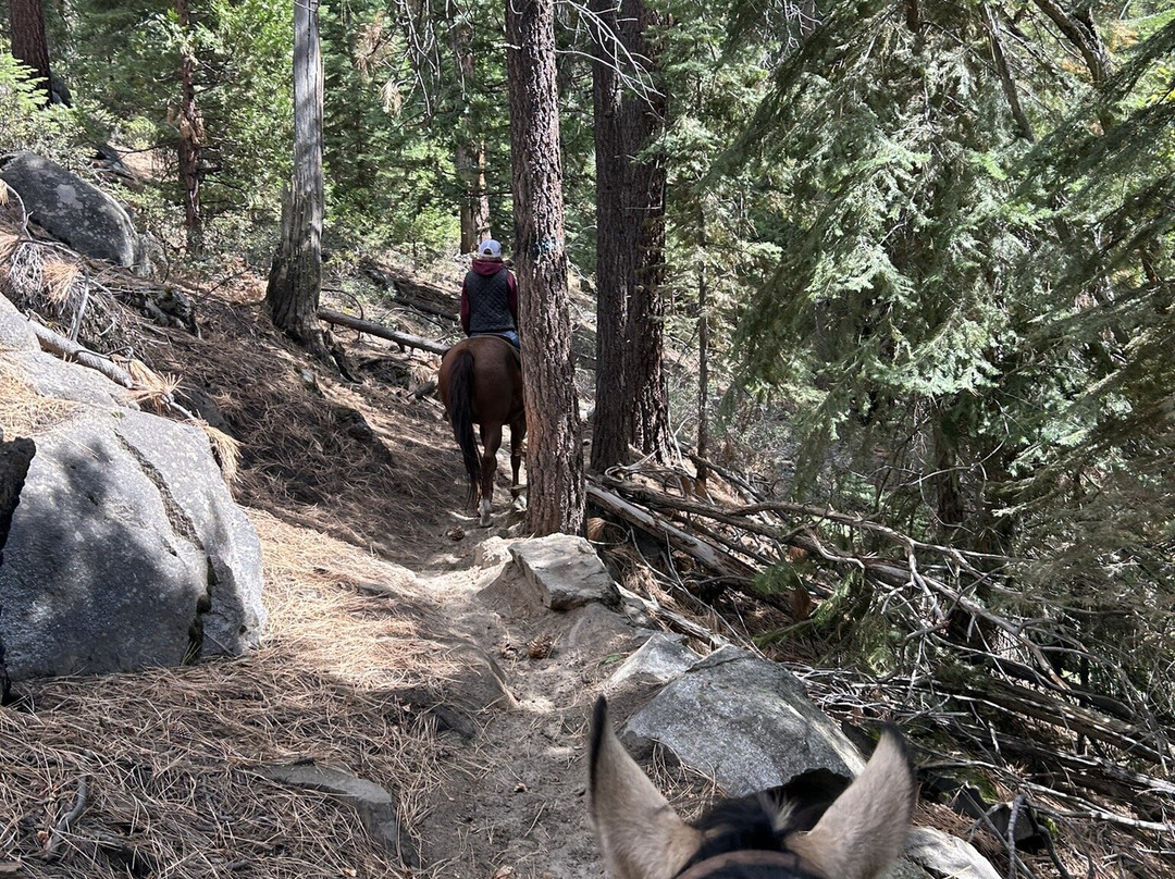 Zephyr Cove Stables-Zephyr Cove必去景点