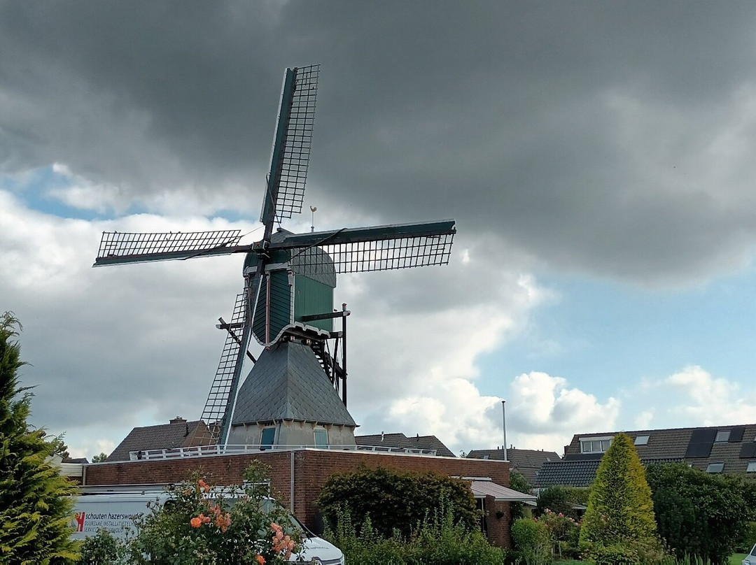 Korenmolen Nieuw Leven景点图片