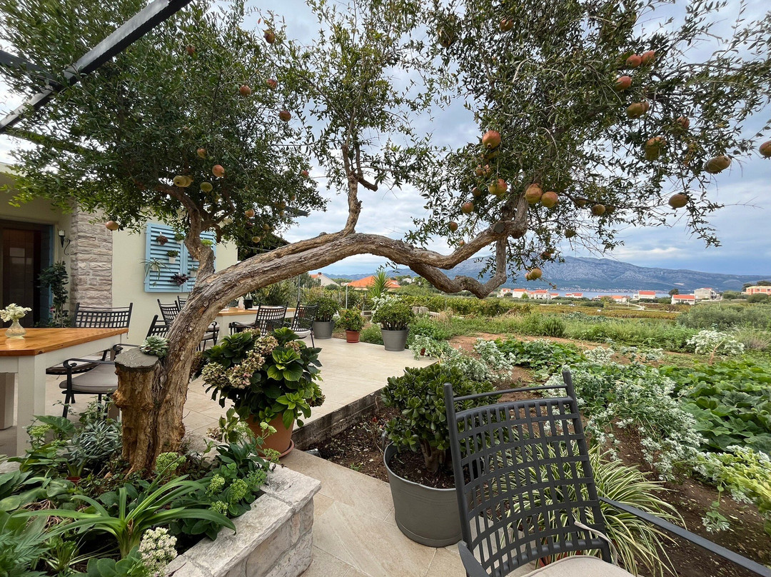 Vitis Winery景点图片