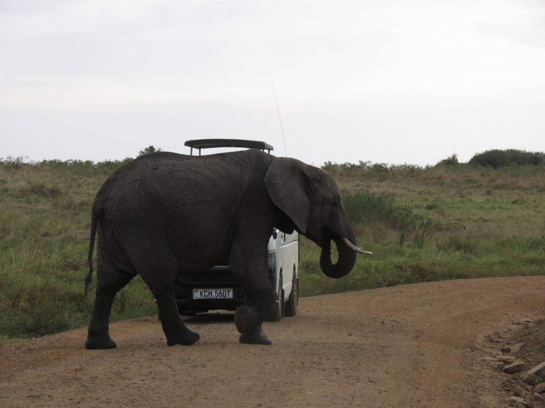 Dusty Roads Masai Mara-马赛马拉国家野生动物保护区必去景点