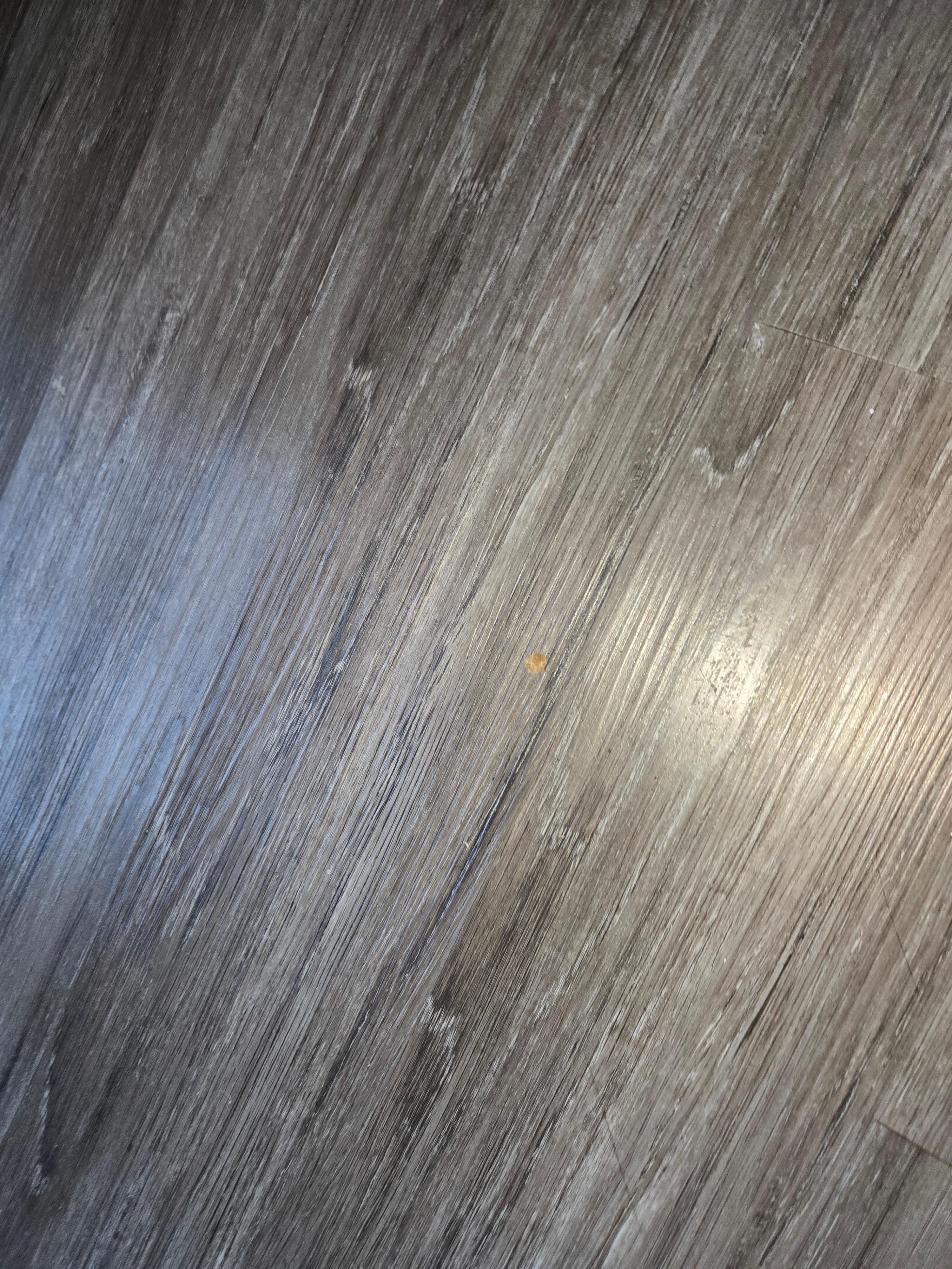 Super 8 by Wyndham Poplar Bluff Missouri-客卧