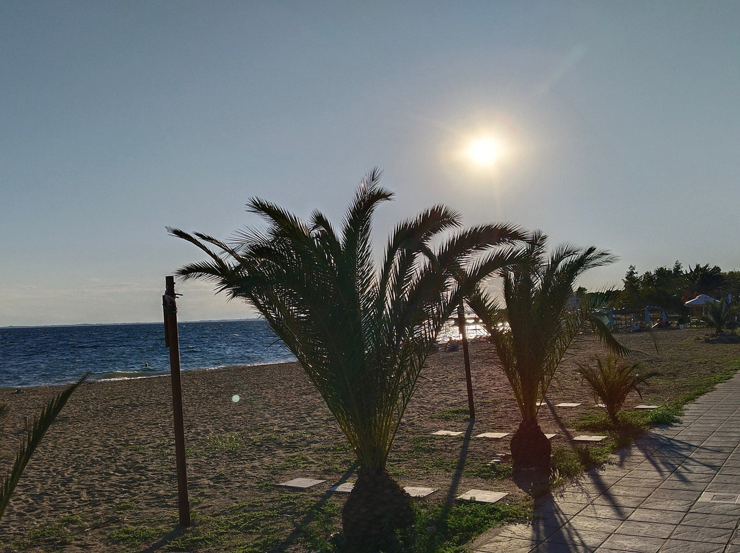 Olympion Beach主图