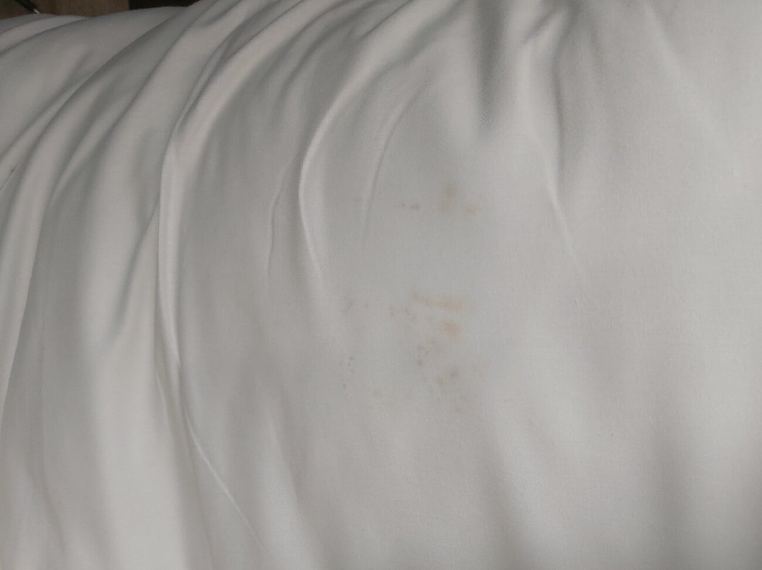 Kyriad ECO - Moulins Sud Yzeure主图