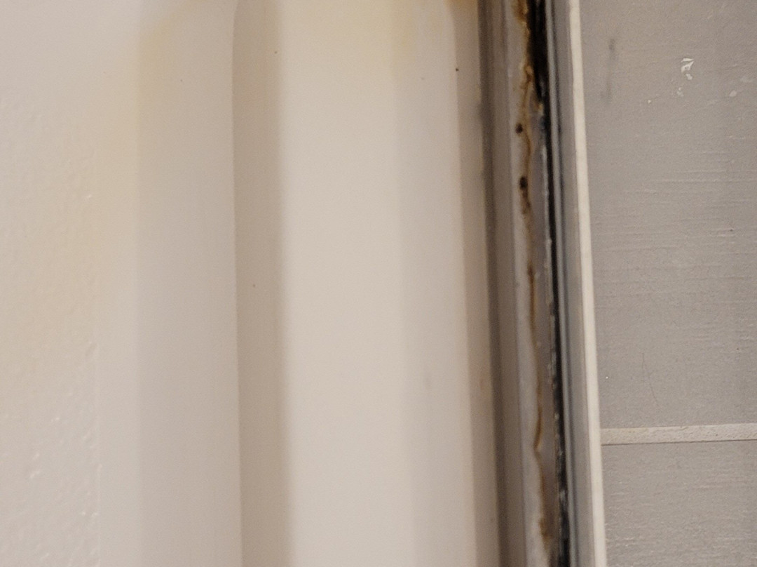 Hampton Inn & Suites Adrian主图