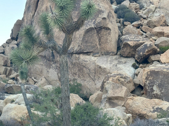 Sky Watcher Stargazing Tours-兰乔米拉必去景点