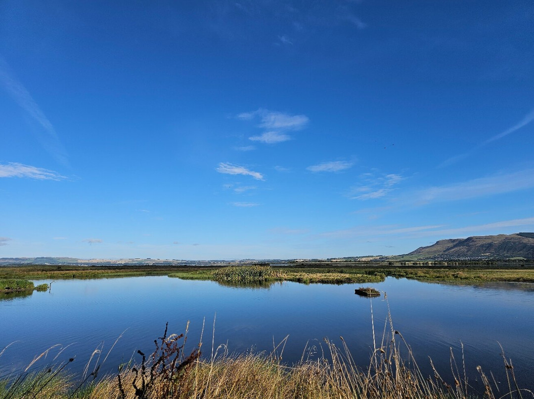 RSPB Scotland Loch Leven-Kinross必去景点