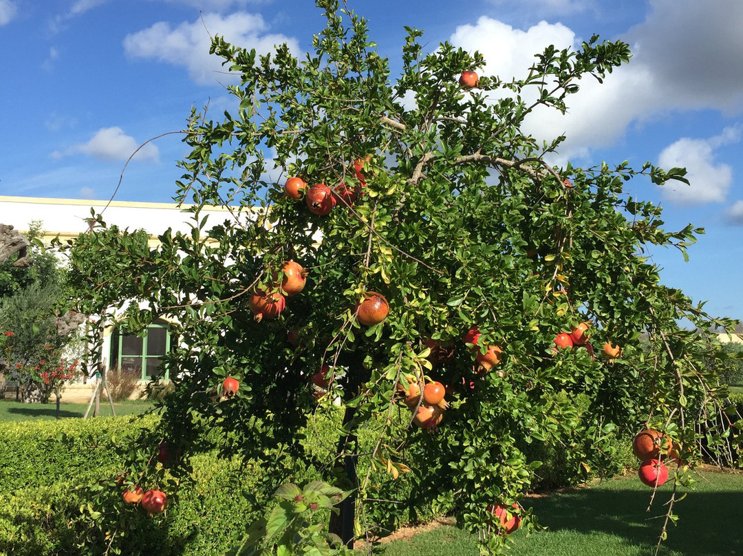 Casale De Li Canti主图