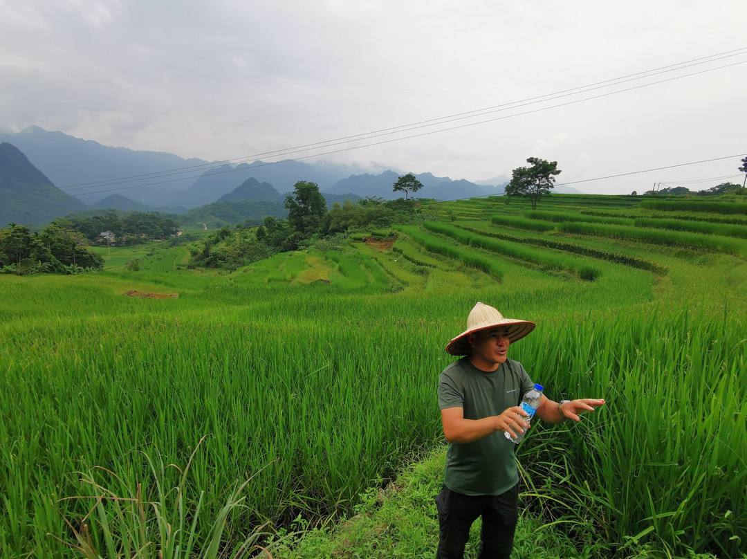 Mai Chau Eco Tours景点图片