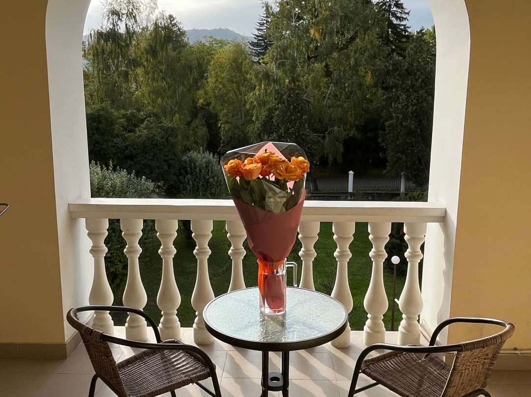 Pension Chaika主图