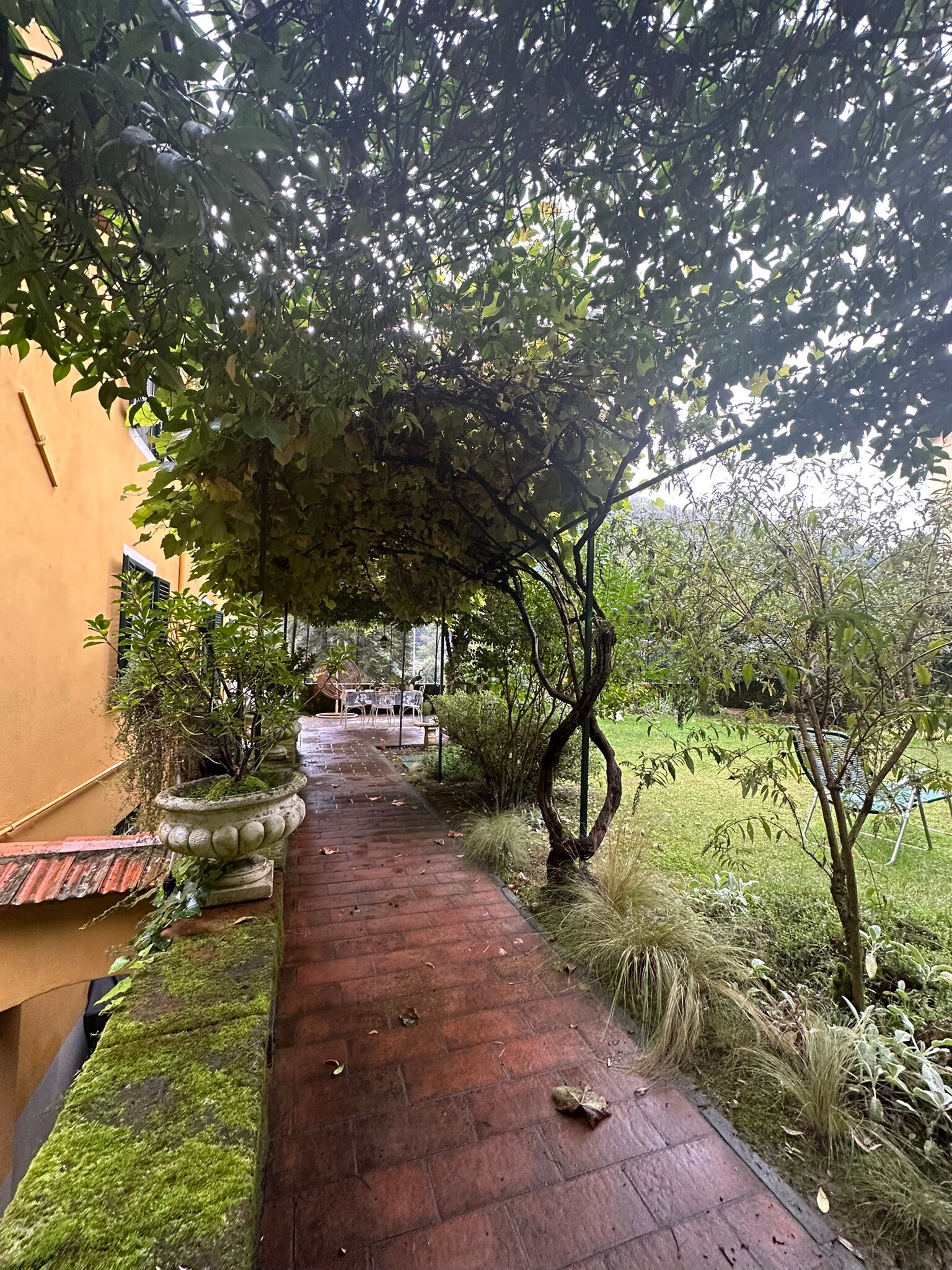 Villa Lucchesi-官方