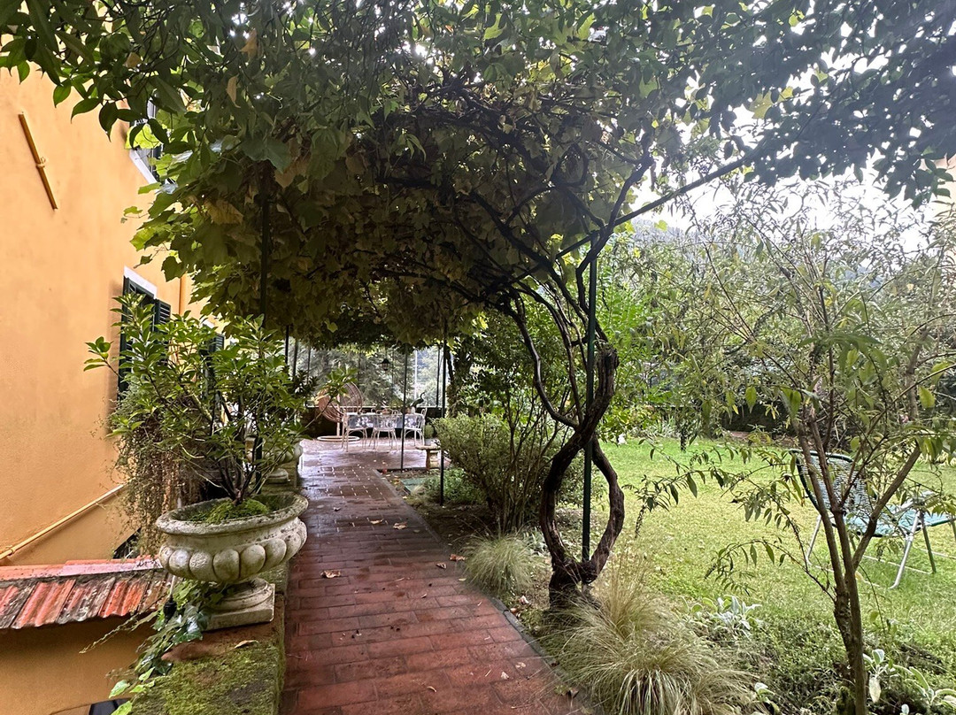 Villa Lucchesi主图