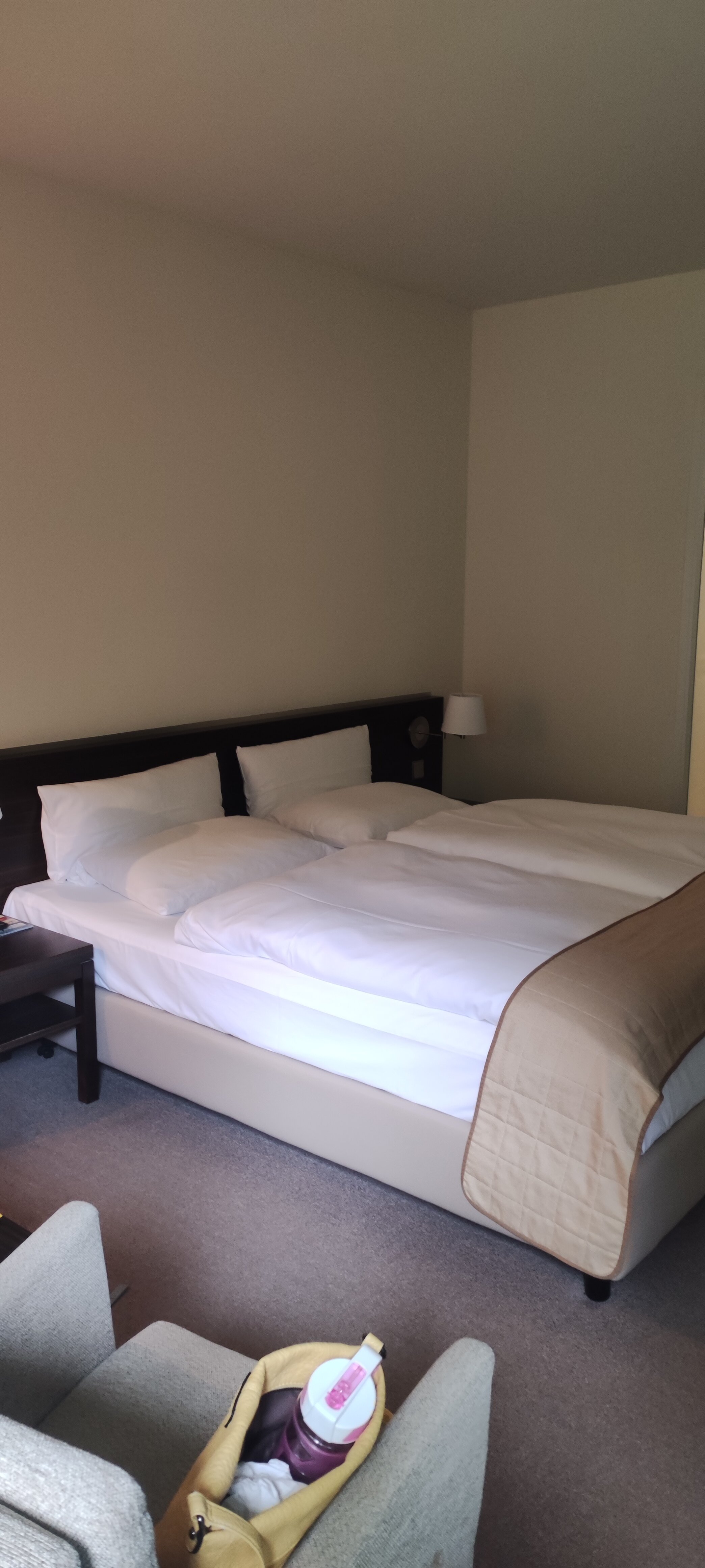 Heide Spa Hotel & Resort-客卧