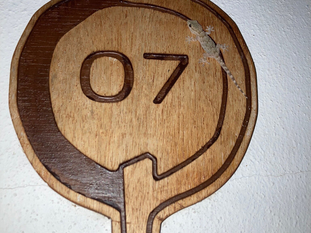 Quinta dos Poetas, Nature Hotel & Apartments主图