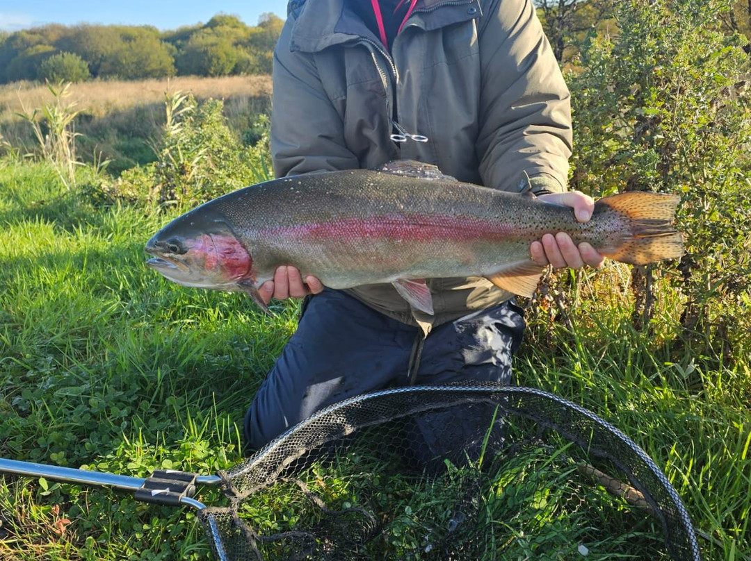 Birchwood Fishery-Drumquin必去景点