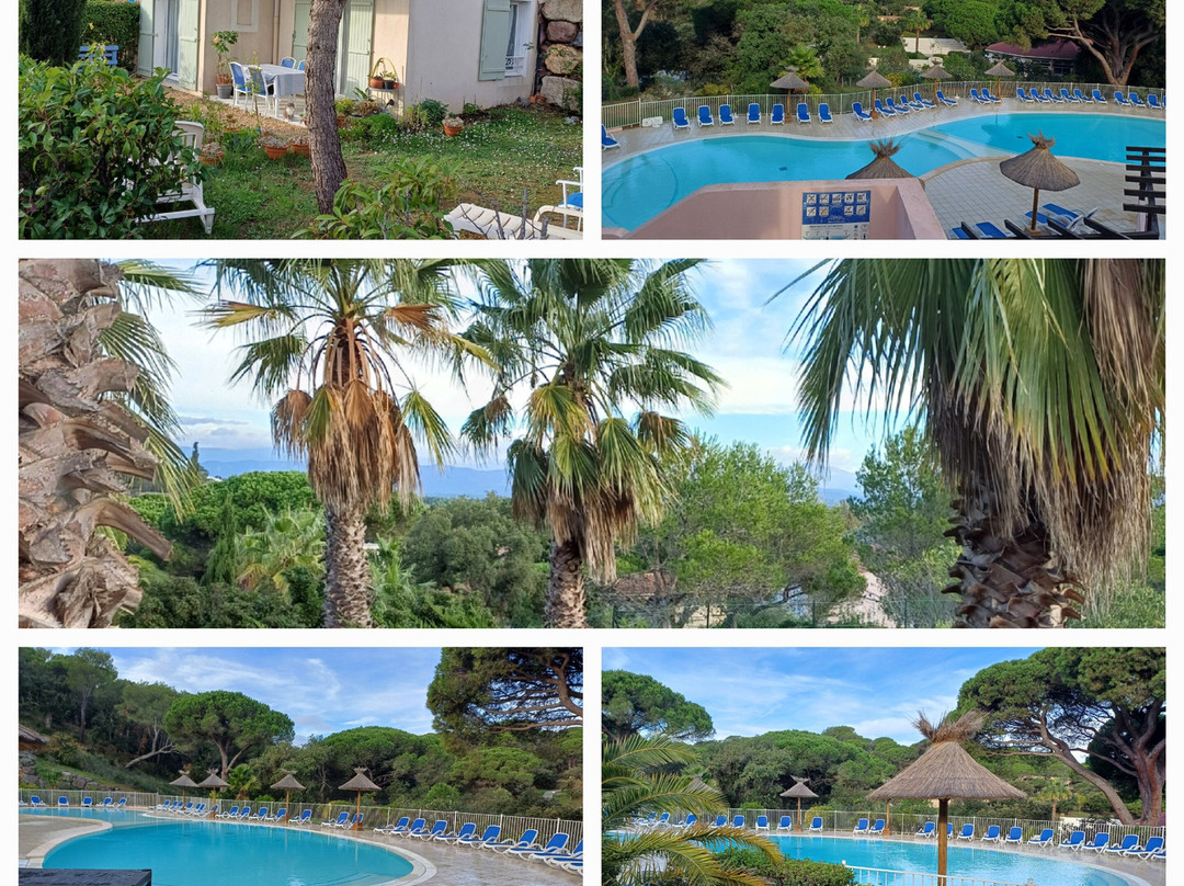 Residence Odalys Open Domaine des Eucalyptus主图