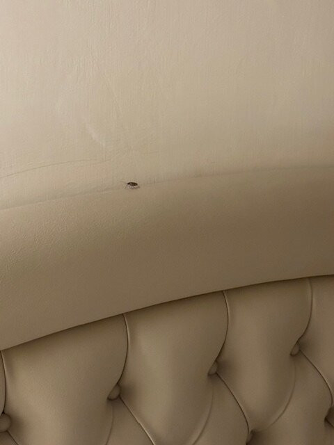 斯提里安诺酒店主图