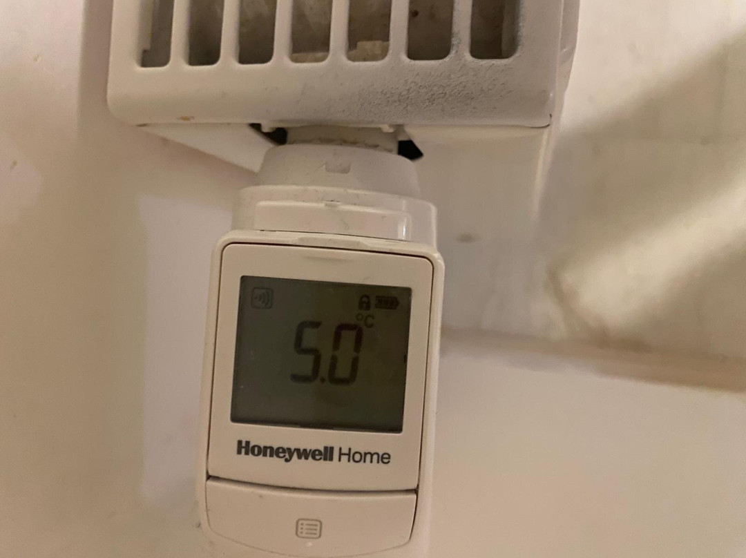 Penzion Zamecka Zahrada主图