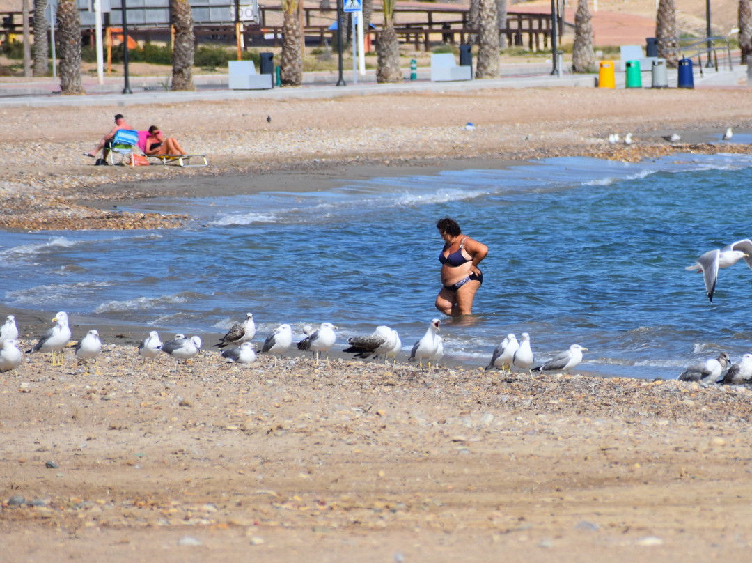 Playa del Alamillo-穆尔西亚马萨龙港必去景点