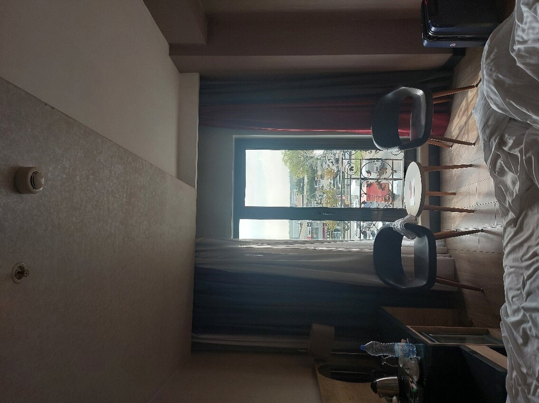 Ramada Encore by Wyndham Gebze主图